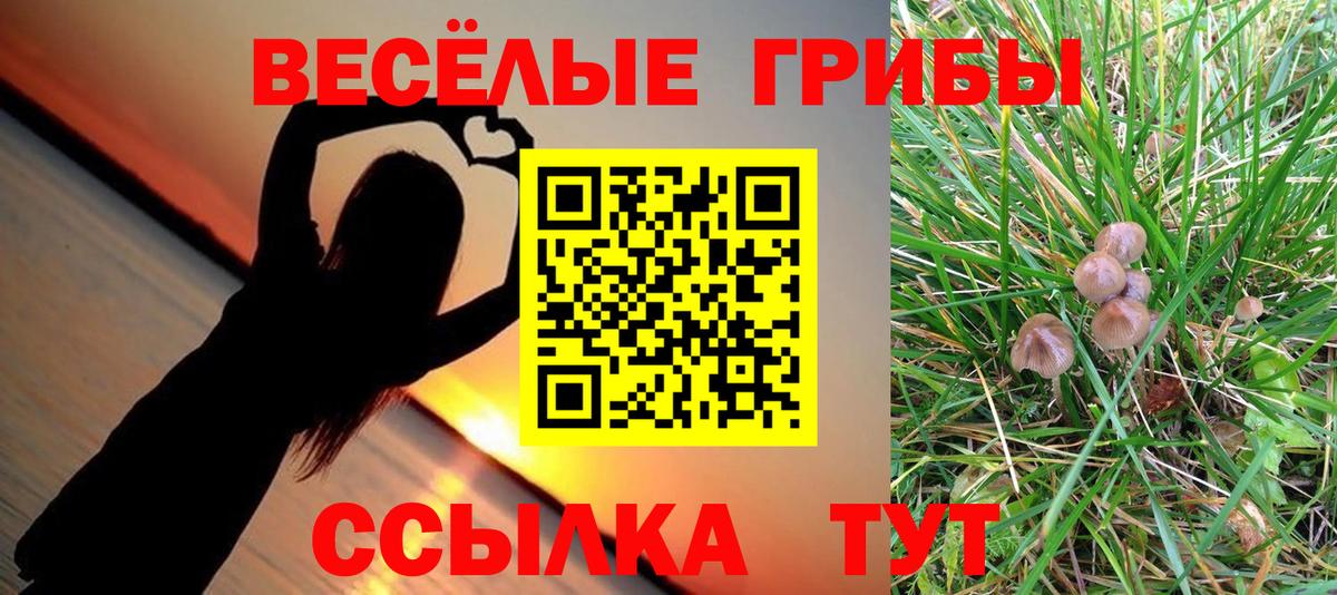 Галлюциногенные грибы мухоморы Рассказово